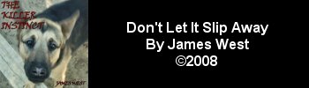 James West - Don't Let It Slip Away