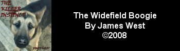 James West - The Widefield Boogie