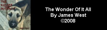 James West - The Wonder Of It All